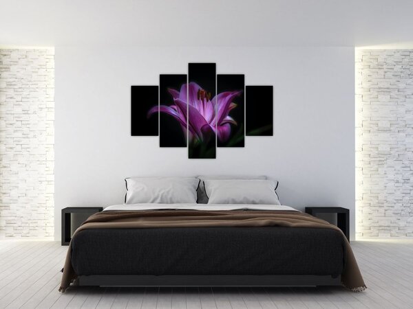 Tablou crinul (150x105 cm)