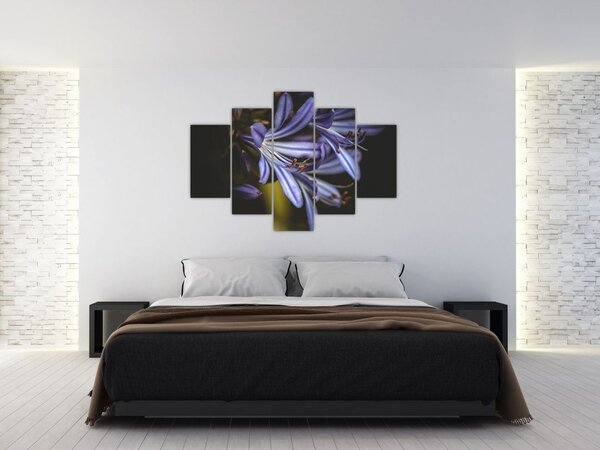 Tablou - Lila (150x105 cm)