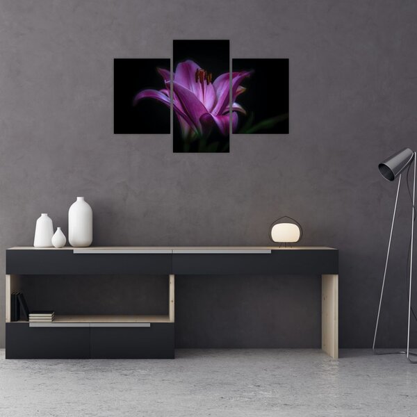 Tablou crinul (90x60 cm)