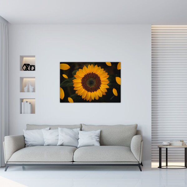 Tablou - Floarea soarelui și petale (90x60 cm)