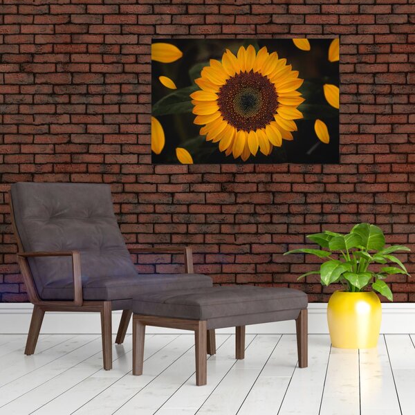 Tablou - Floarea soarelui și petale (90x60 cm)