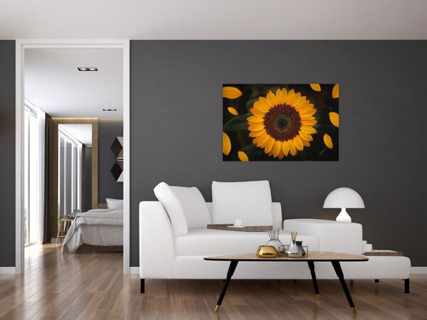 Tablou - Floarea soarelui și petale (90x60 cm)