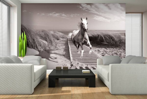 Fototapet - Galop pe plajă (152,5x104 cm)