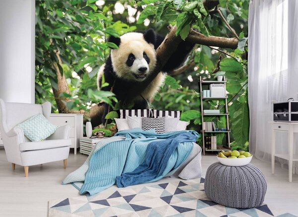 Fototapet - Panda în copac (254x184 cm)