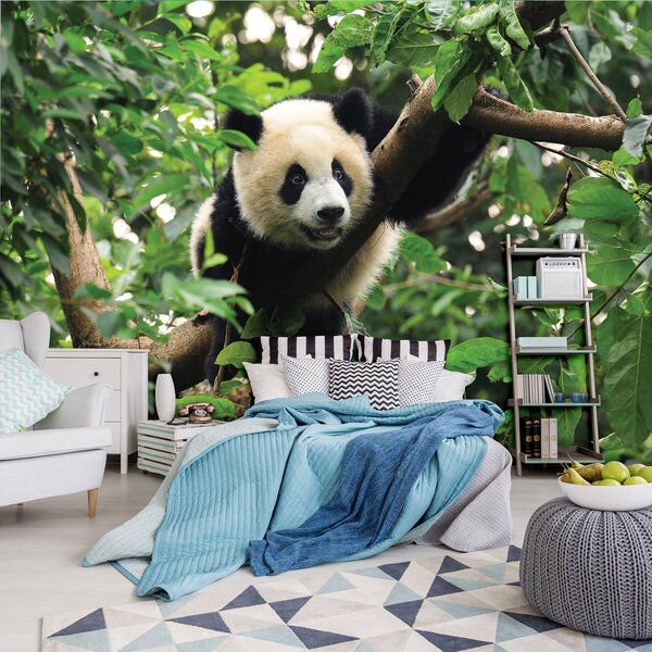 Fototapet - Panda în copac (254x184 cm)