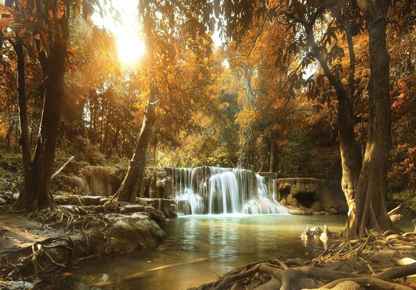 Fototapet - Cascada în pădurea de toamnă (152,5x104 cm)