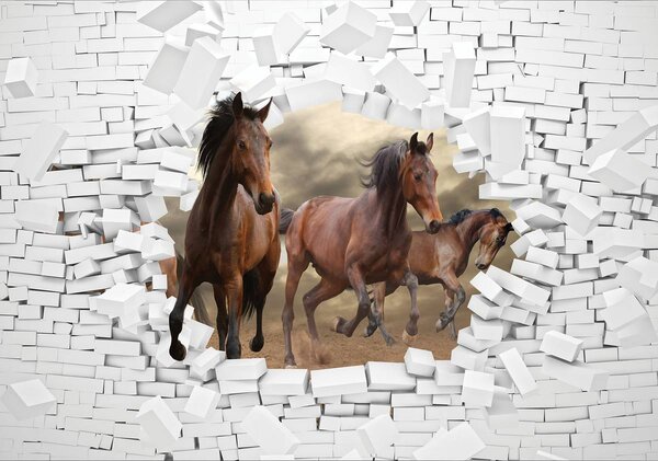 Fototapet - 3D cai în perete (152,5x104 cm)