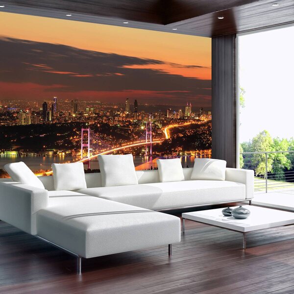 Fototapet - Privire spre River City (254x184 cm)