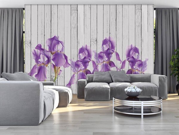Fototapet - Iris pe scănduri de lemn (254x184 cm)