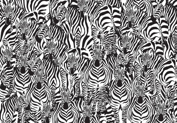 Fototapet - Zebra (254x184 cm)