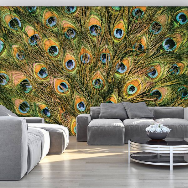 Fototapet - Pană de păun (152,5x104 cm)
