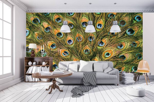 Fototapet - Pană de păun (152,5x104 cm)
