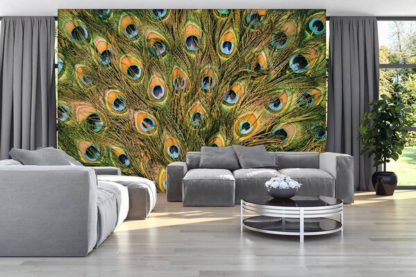 Fototapet - Pană de păun (152,5x104 cm)