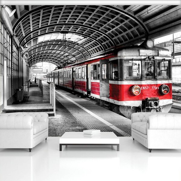 Fototapet - Tren (152,5x104 cm)