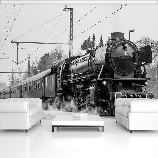 Fototapet - Locomotiva cu aburi (254x184 cm)