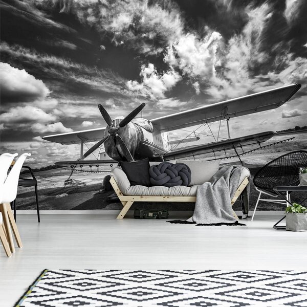 Fototapet - Avion (254x184 cm)