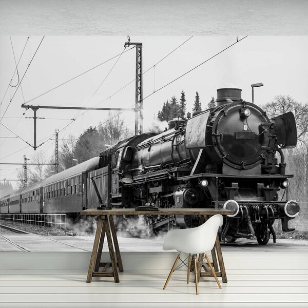 Fototapet - Locomotiva cu aburi (254x184 cm)