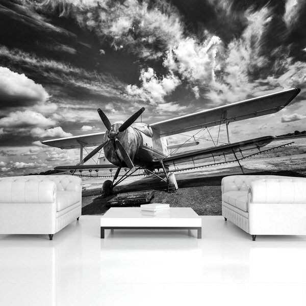 Fototapet - Avion (254x184 cm)