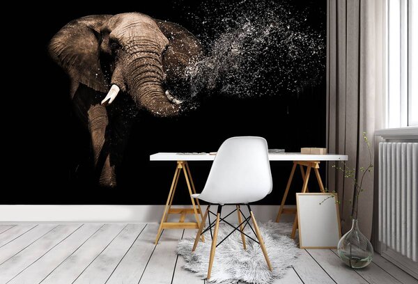 Fototapet - Elefant (254x184 cm)