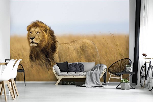 Fototapet - Leu (152,5x104 cm)