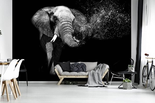 Fototapet - Elefant (152,5x104 cm)