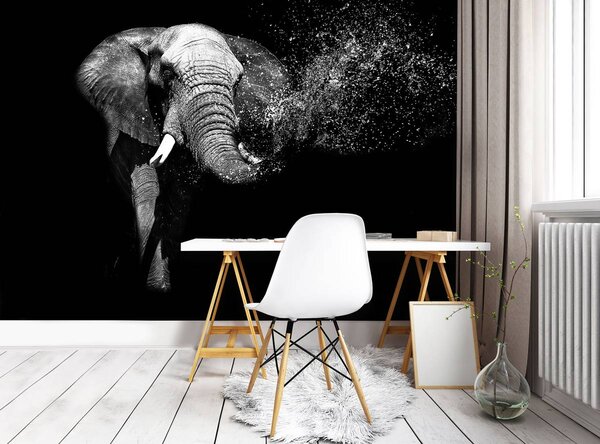 Fototapet - Elefant (152,5x104 cm)