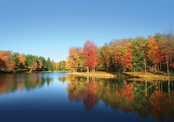 Fototapet - Lac (152,5x104 cm)