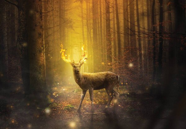 Fototapet - Cerb în lumina apusului de soare (152,5x104 cm)