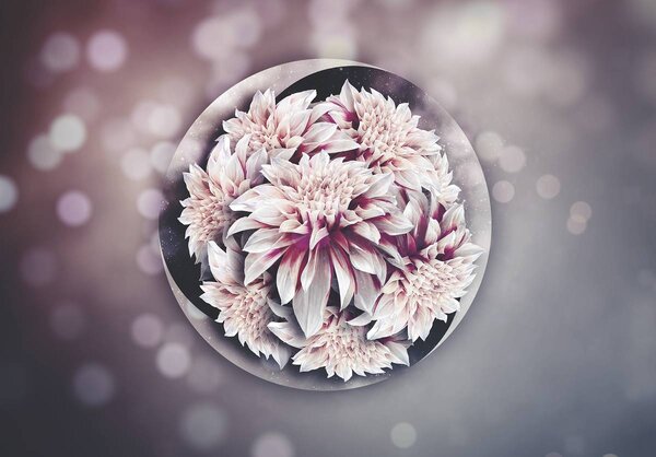 Fototapet - Flori (254x184 cm)