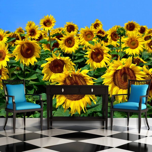 Fototapet - Floarea soarelui (152,5x104 cm)