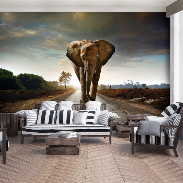 Fototapet - Elefant (254x184 cm)