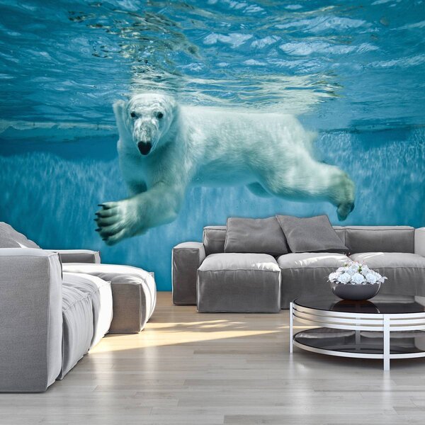 Fototapet - Ursul polar (254x184 cm)