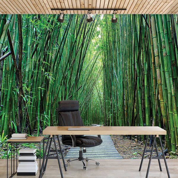 Fototapet - Bambus (254x184 cm)