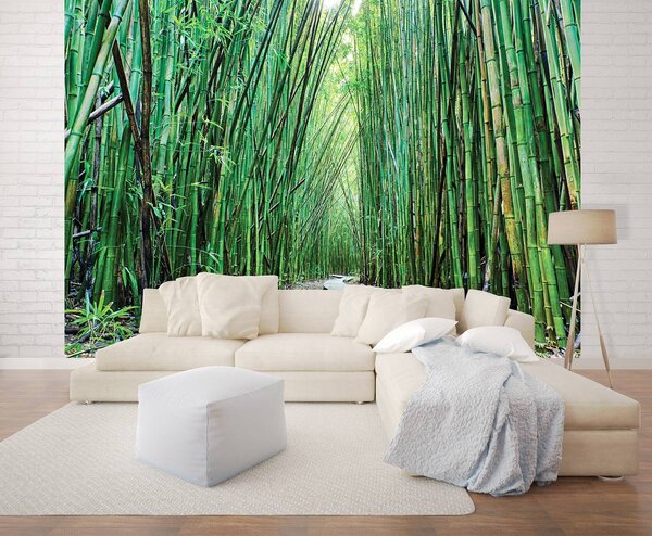 Fototapet - Bambus (254x184 cm)