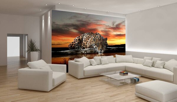 Fototapet - Jaguar (152,5x104 cm)