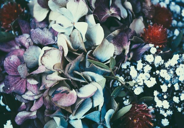 Fototapet - Flori (152,5x104 cm)