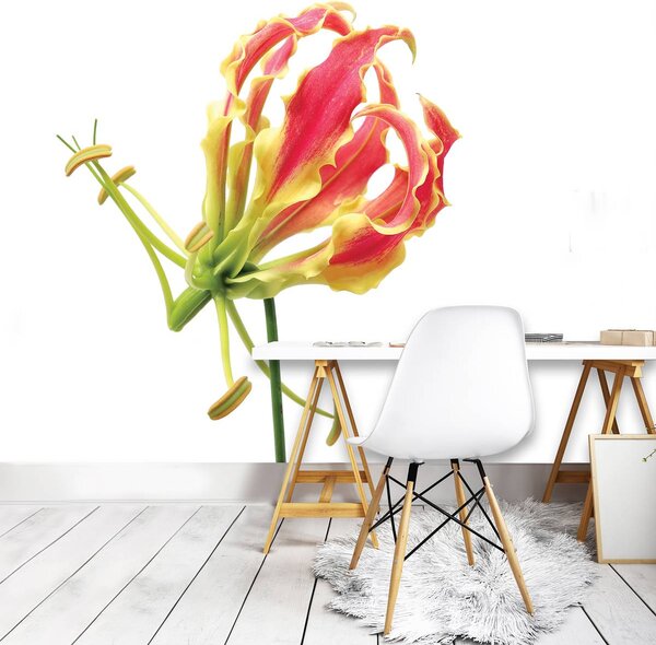 Fototapet - Flori (254x184 cm)