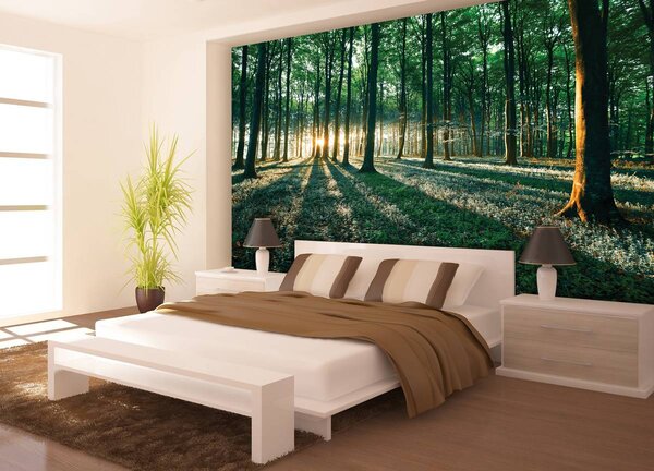 Fototapet - Pădure (152,5x104 cm)