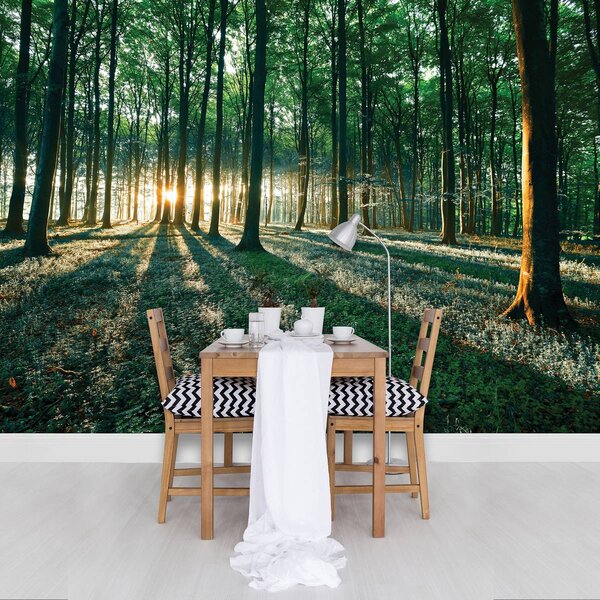 Fototapet - Pădure (152,5x104 cm)