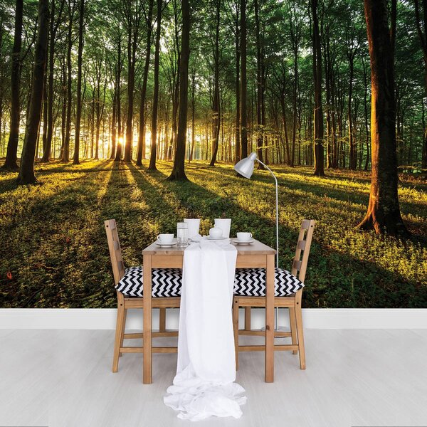 Fototapet - Pădure (152,5x104 cm)