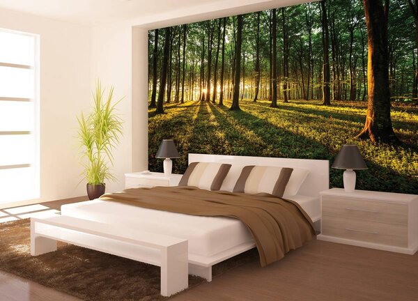 Fototapet - Pădure (152,5x104 cm)