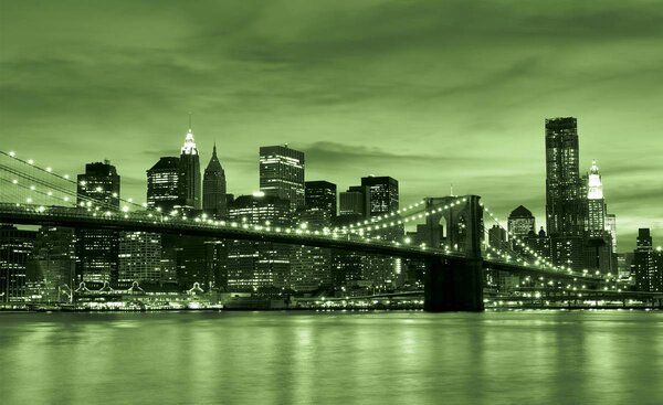 Fototapet - New York și Brooklin Bridge City (152,5x104 cm)