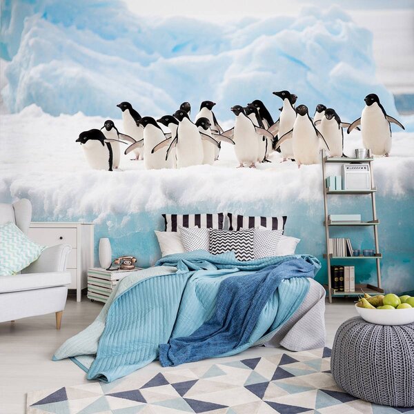 Fototapet - Pinguini (152,5x104 cm)