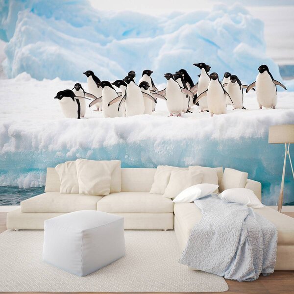 Fototapet - Pinguini (152,5x104 cm)
