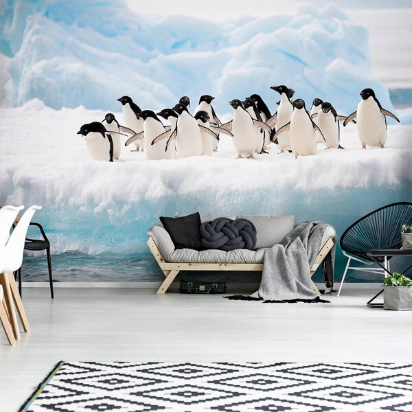 Fototapet - Pinguini (152,5x104 cm)
