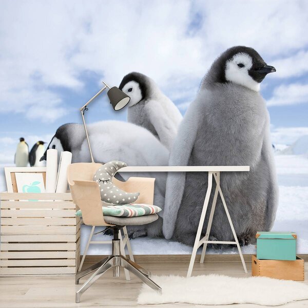 Fototapet - Pinguini (254x184 cm)