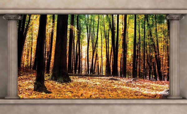 Fototapet - Pădure de toamnă (152,5x104 cm)