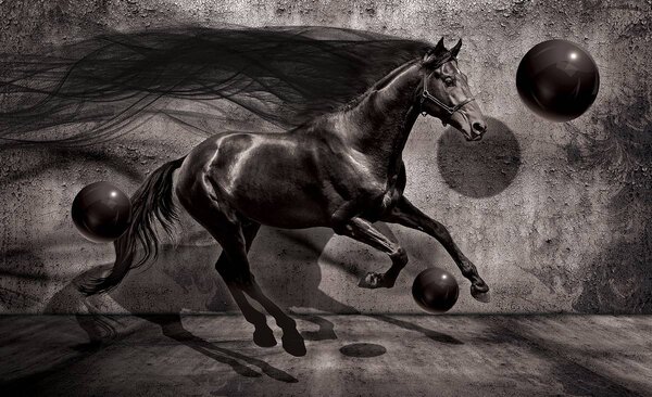 Fototapet - Calul negru (254x184 cm)