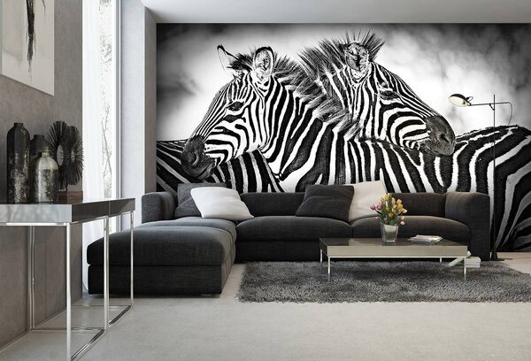 Fototapet - Zebra (152,5x104 cm)