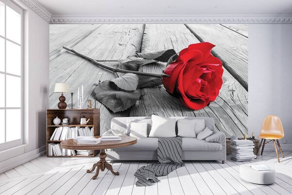 Fototapet - Trandafir (152,5x104 cm)